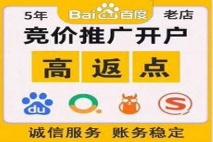 搜索引擎营销（SEM）广告的创意与执行案例
